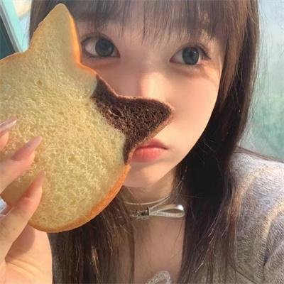 伴侣 封面